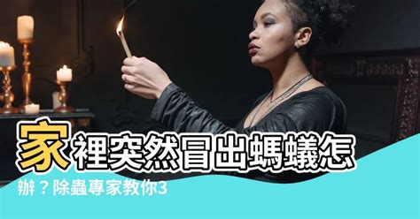 家中突然出現螞蟻|家裡突然冒出很多小螞蟻怎麼辦？滅蟲專家教3招徹底消滅，1個便。